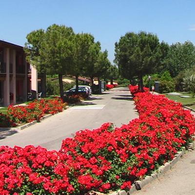 Garda Village In Fiore1 G